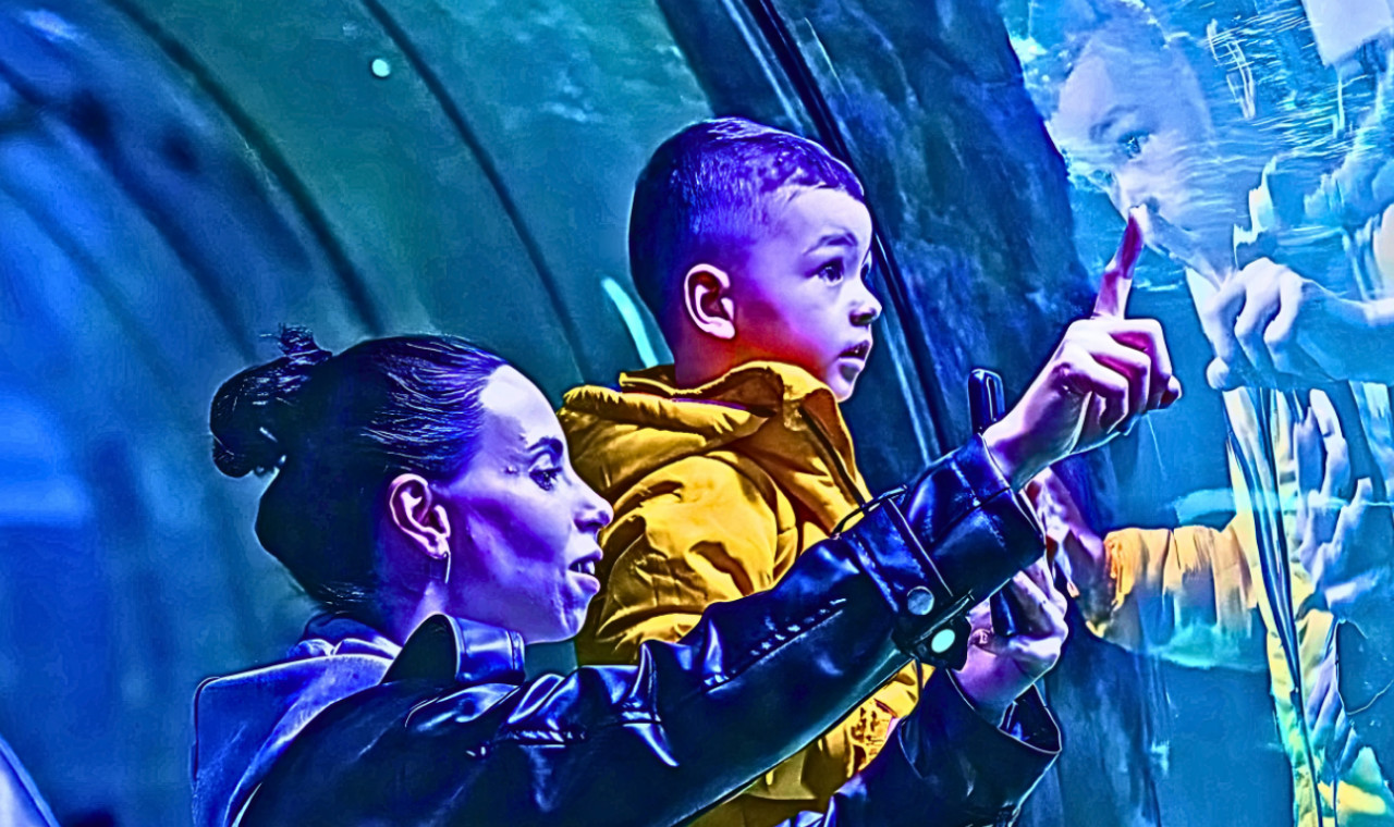 ViaSea Aquarium Ticket