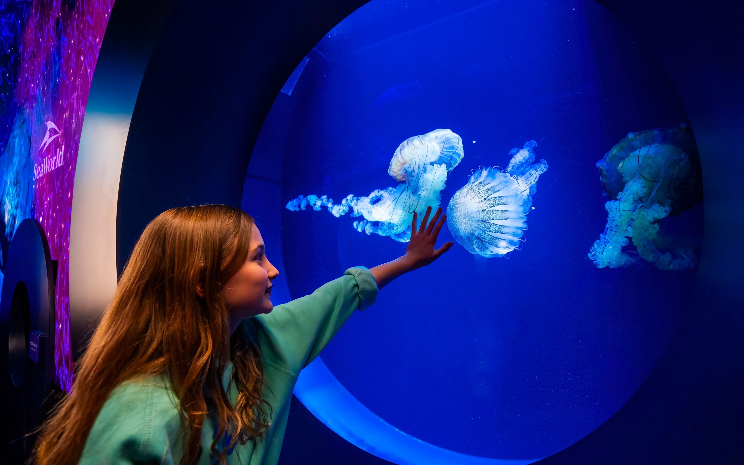 SeaWorld San Diego Ticket