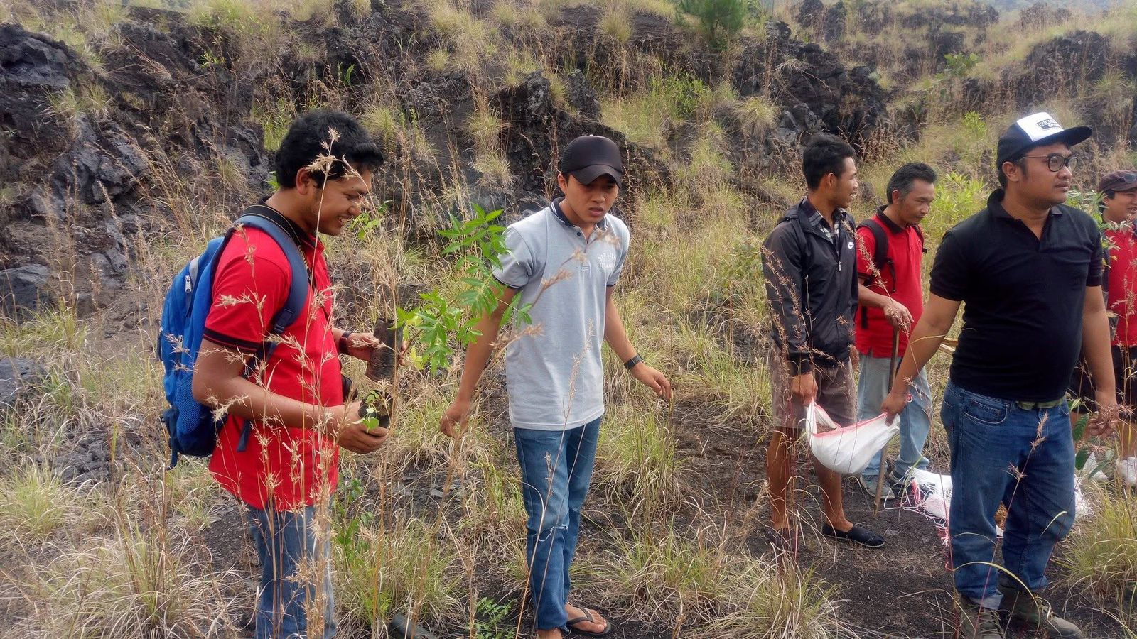 在巴杜爾火山地區體驗種樹活動 在巴杜爾火山地區體驗種樹活動