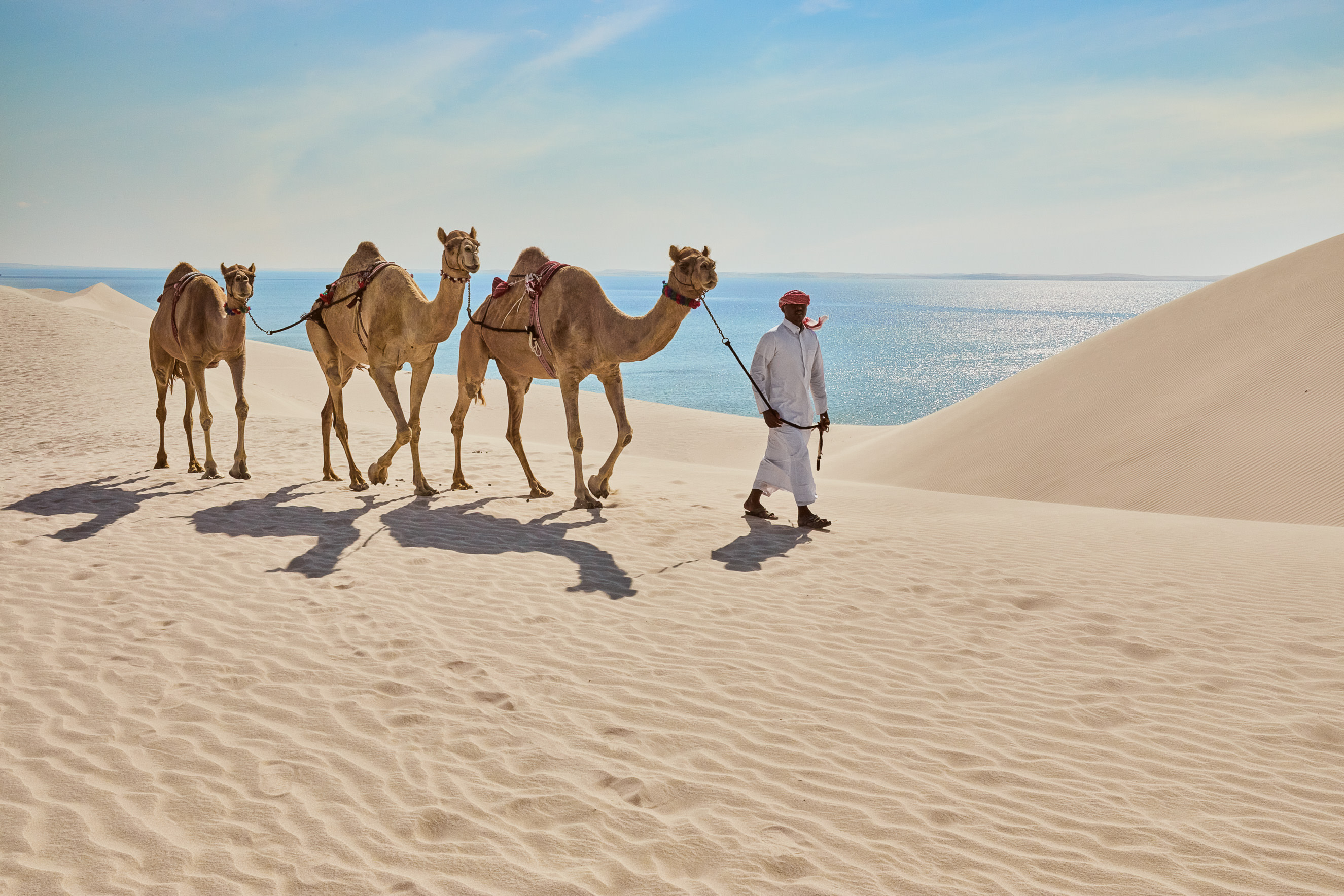 Doha Inland Sea & Khor Al Udaid Half-Day Private Desert Adventure