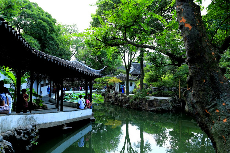 Round Trip from Shanghai/Pure 1-Day Tour to Classical Gardens of Jiangnan: The Humble Administrator's Garden in Suzhou + Hanshan Temple + Tiger Hill Scenic Area + Qili Shantang Street