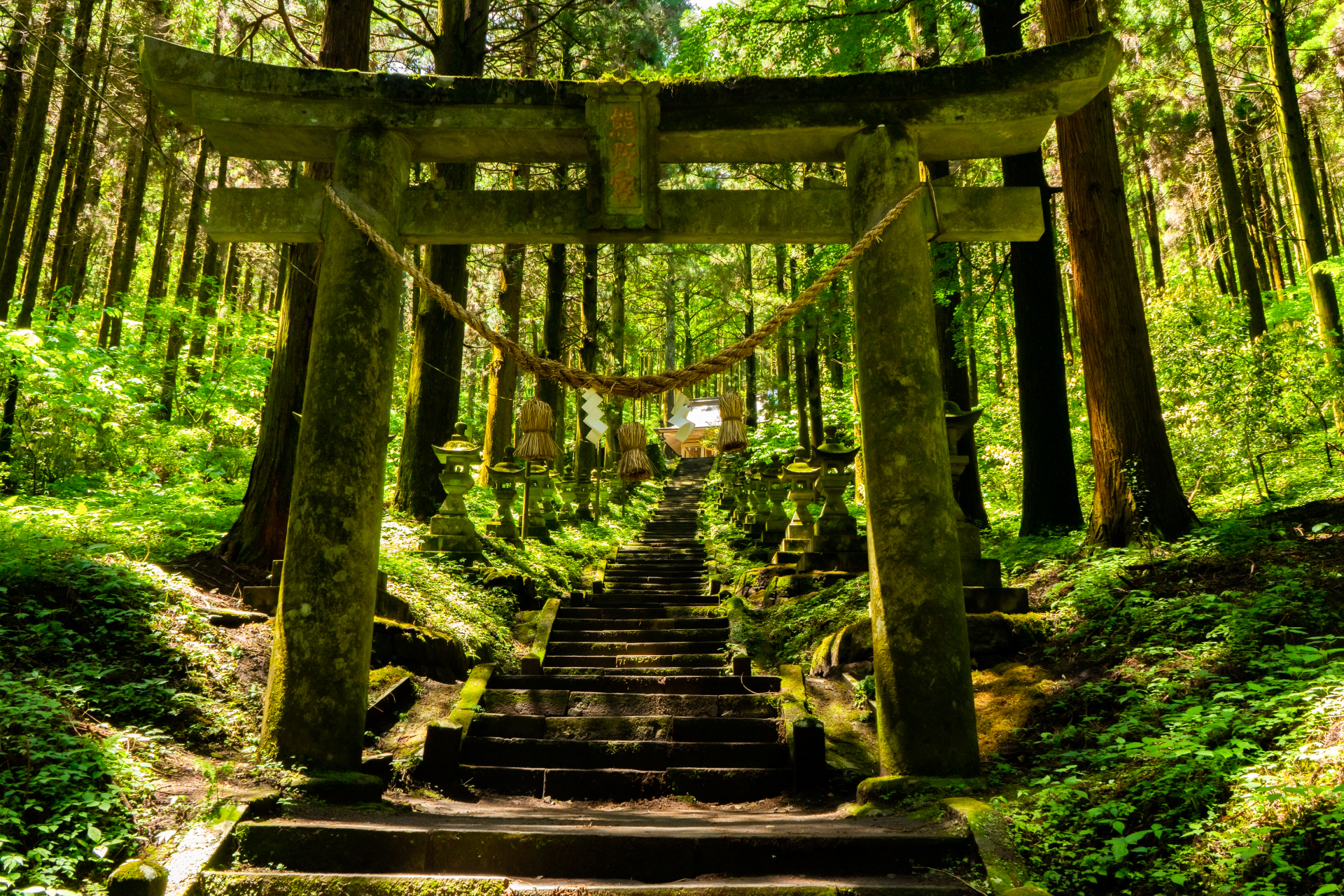 阿蘇火山口・草千里・上色見熊野座神社・熊本城一日遊｜福岡出發（可熊本下車）