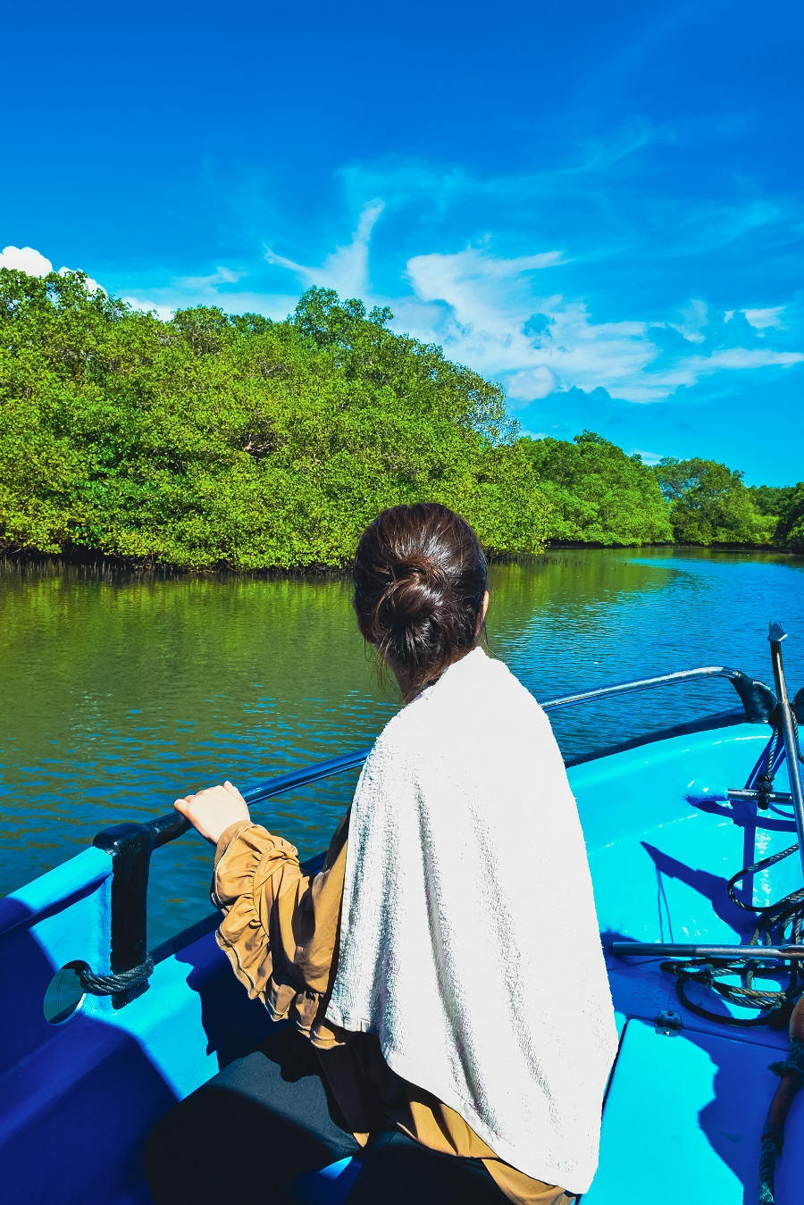 龜島 & 玻璃底船 & 紅樹林巡航之旅（JTB Indonesia提供）