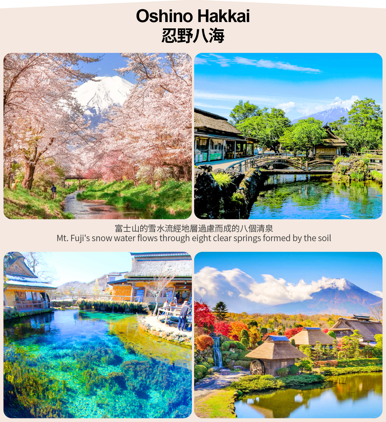【富士三湖】河口湖&山中湖&精進湖&抱子富士&網紅天梯小鎮&忍野八海一日遊（東京出發）