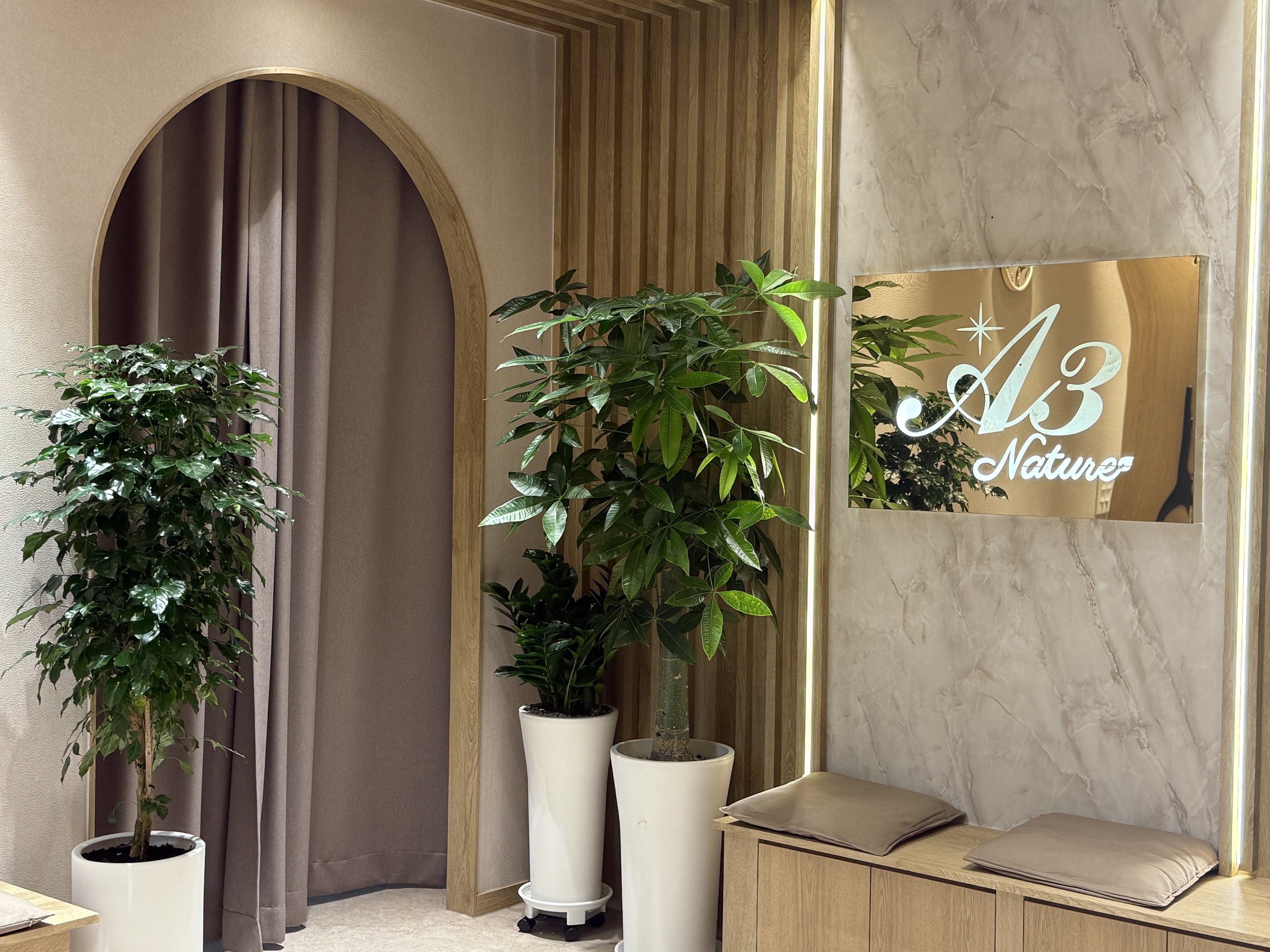 Seoul Basic Korean Body Scrub & Spa Experience