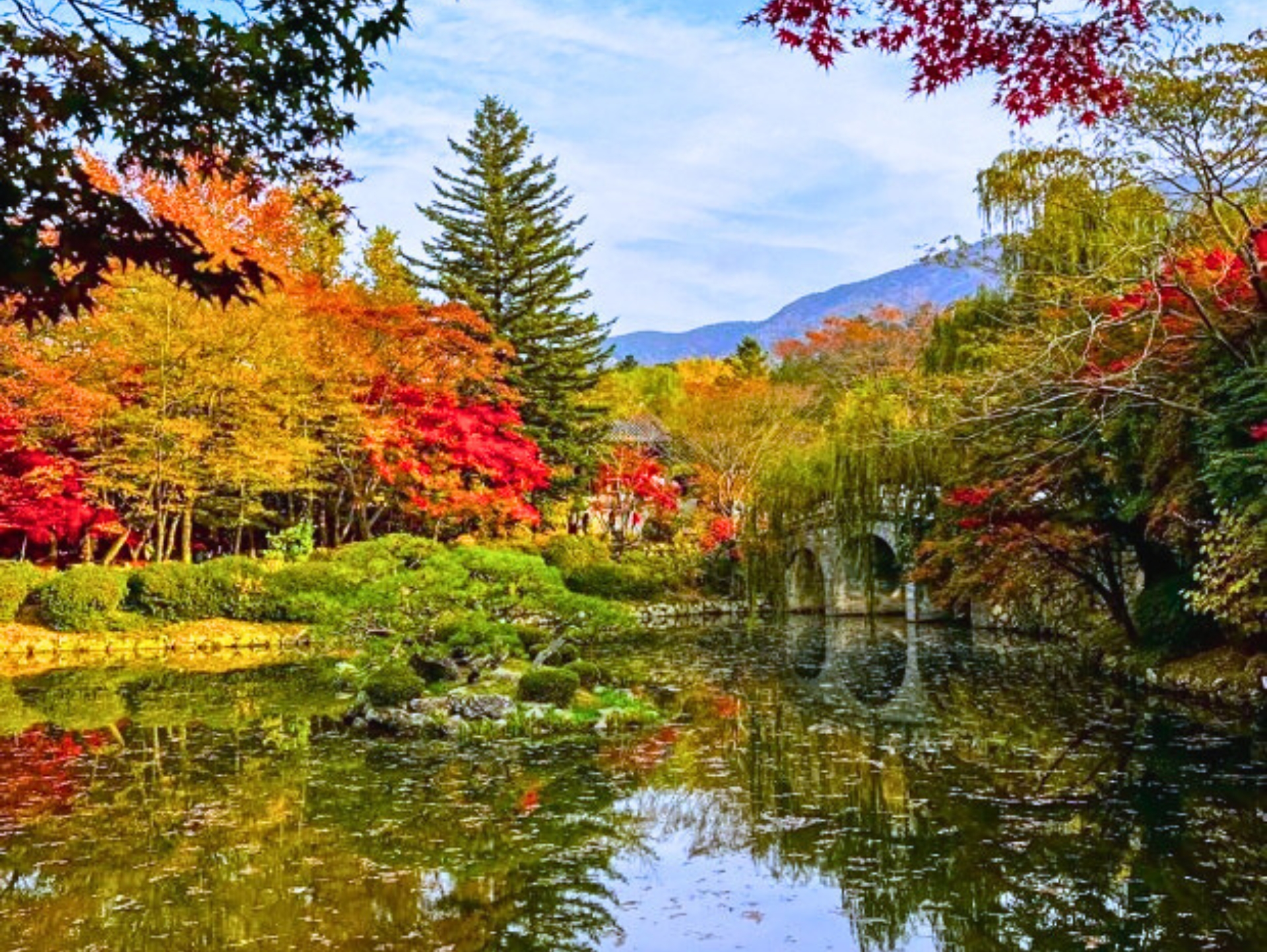 慶州黃理團路×佛國寺秋楓之旅（釜山）