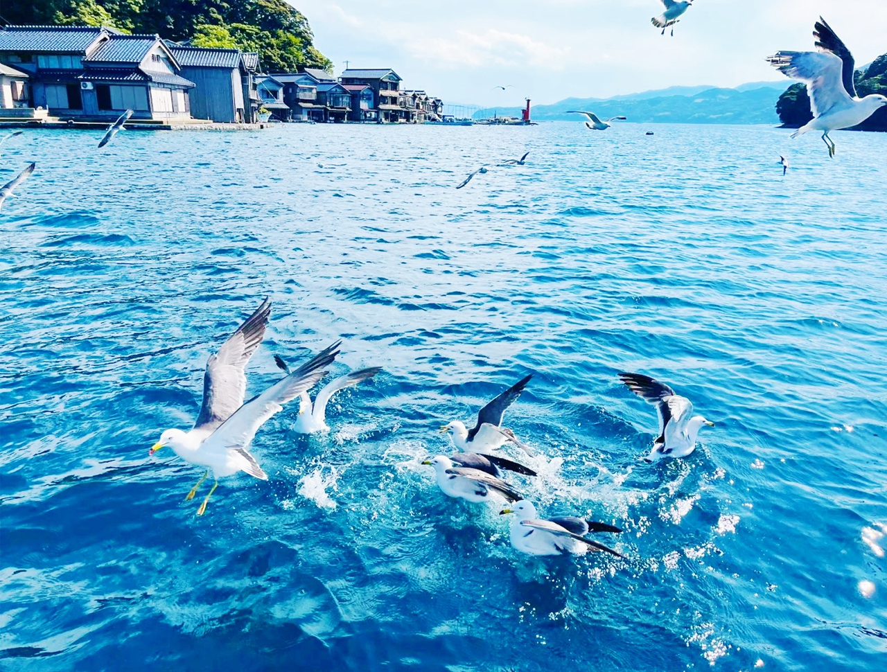 [Secret Place in Kyoto] Amanohashidate Spectacular View + Ine Funaya Fishing Port + Funaya Day + Miyama Gassho Village Thatched House Tour (Depart from Osaka)