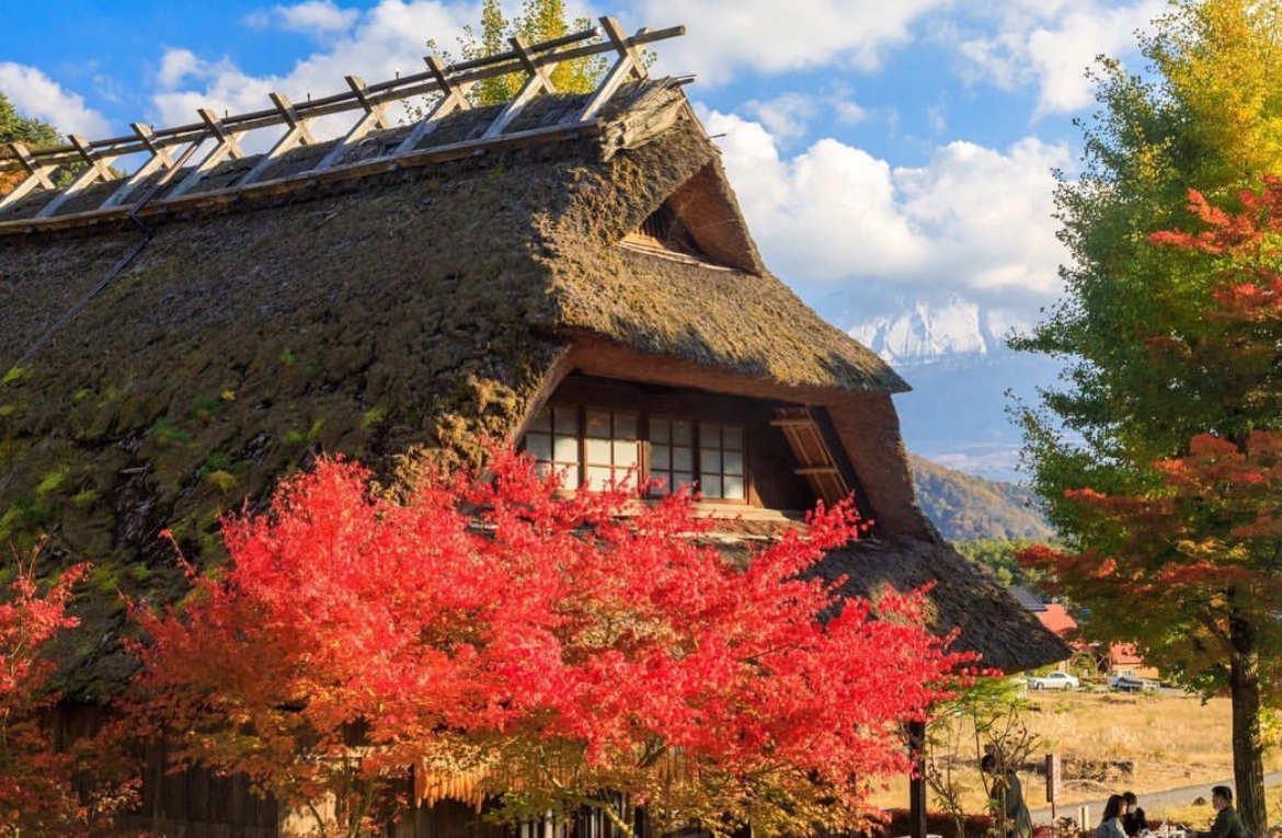 富士山四大名勝景點一日遊（東京出發)