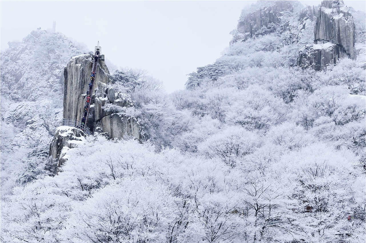 ❄冬季的大芚山彷彿置身於冰雪童話之中。
