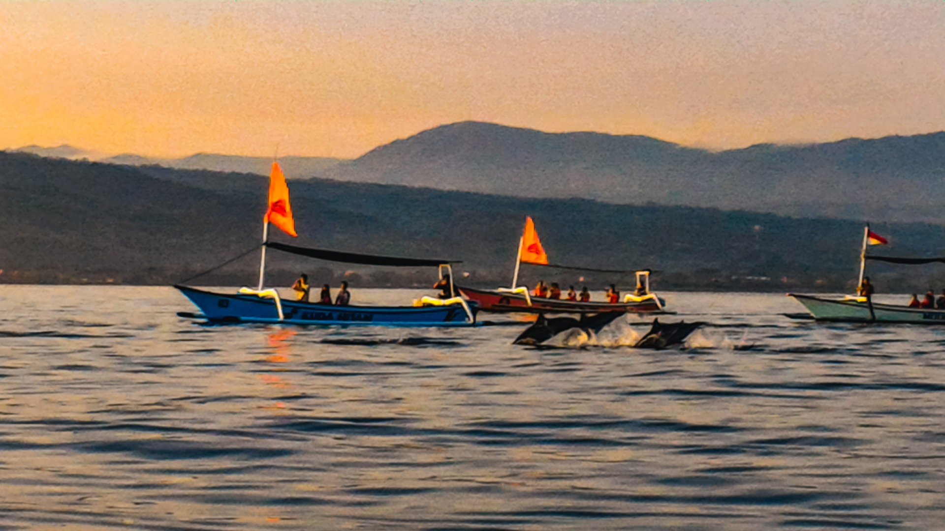 峇里島賞海豚體驗＆水神廟私人一日遊