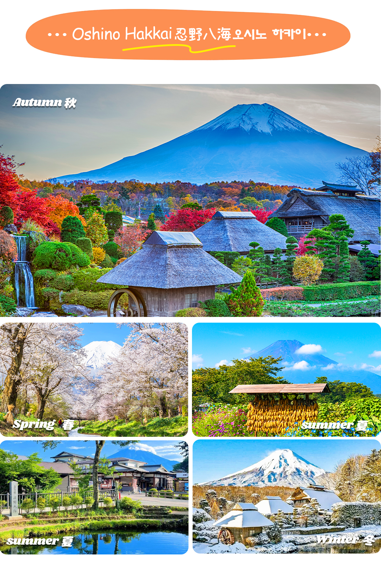 忍野八海由富士山雪水匯聚而成,清澈見底的八個泉池被譽為“日本名水百選”之一。 忍野八海由富士山雪水匯聚而成,清澈見底的八個泉池被譽為“日本名水百選”之一。