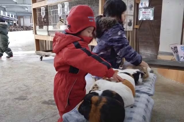 岐阜牧歌之里門票