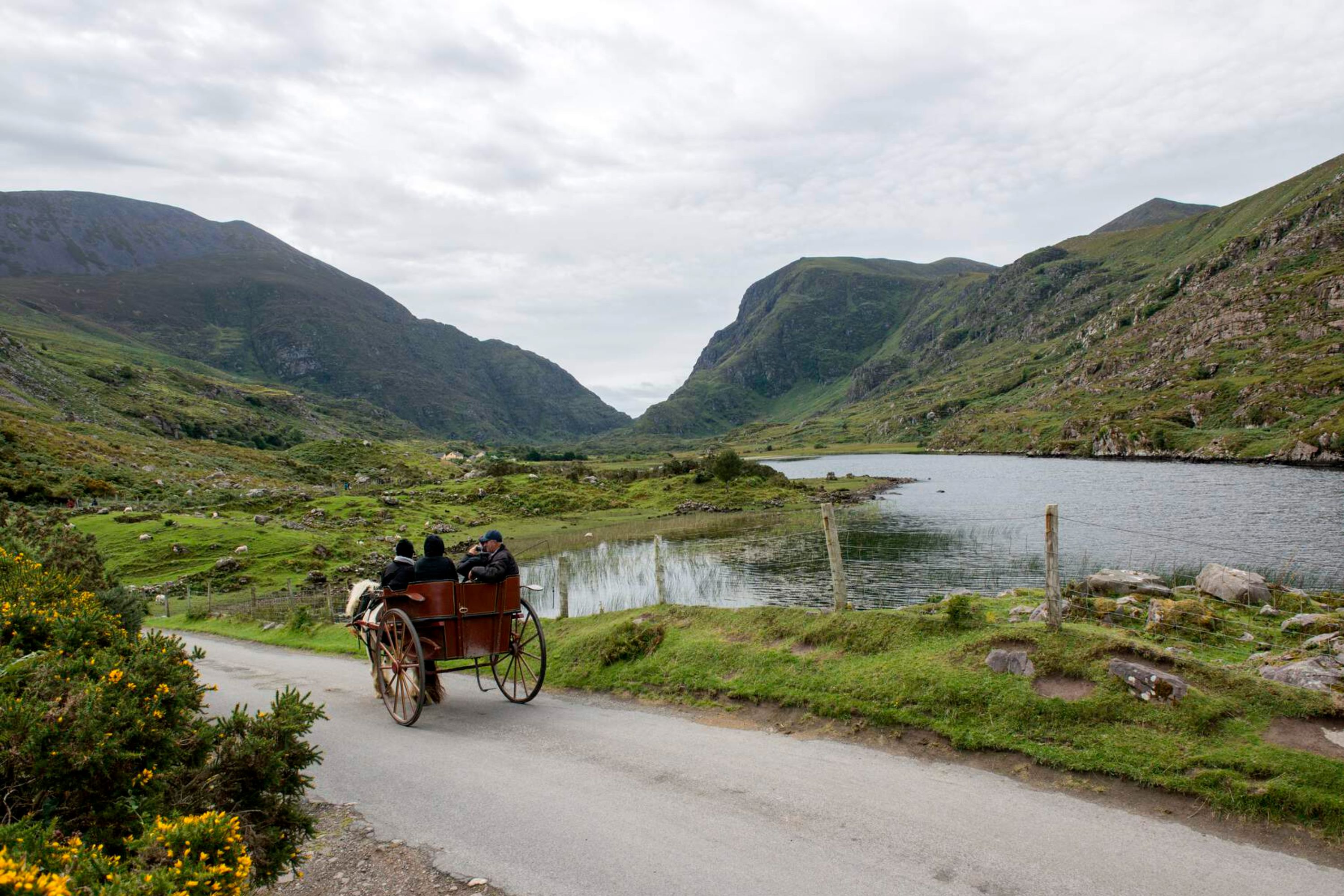 Kerry Tour from Dublin