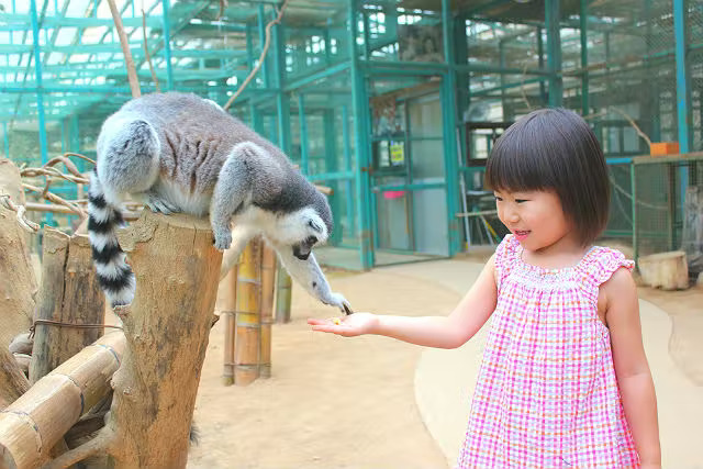 Tohoku Safaripark Admission Ticket