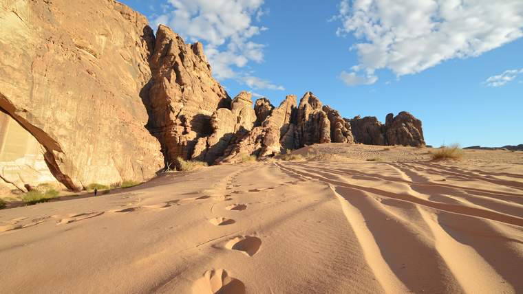 NEOM Hasma Desert Full-Day Safari Tour