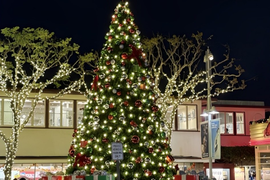Los Angeles Holiday Lights 2-Hour Panoramic Tour