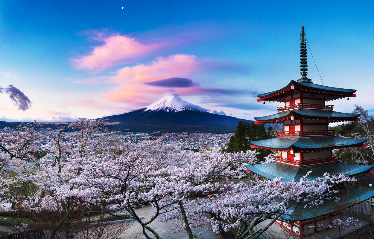 每年春天，是富士山與櫻花合影最經典的景點