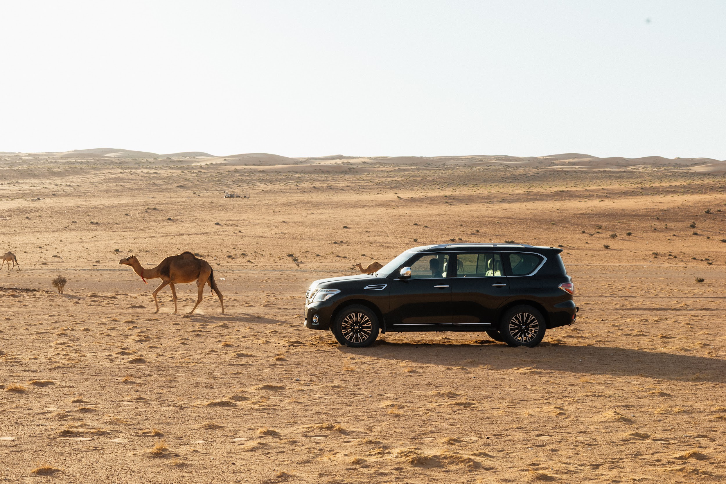 Wadi Bani Khalid & Wahiba沙漠之旅