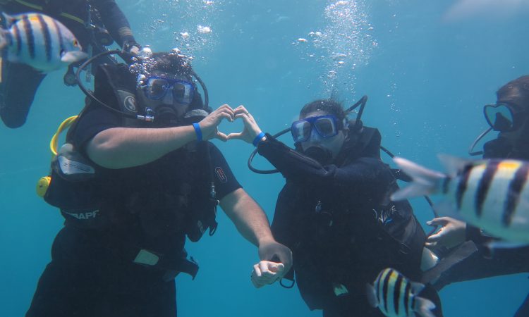 Discover Scuba in Hurghada: PADI Dive Experience with 5 Sta