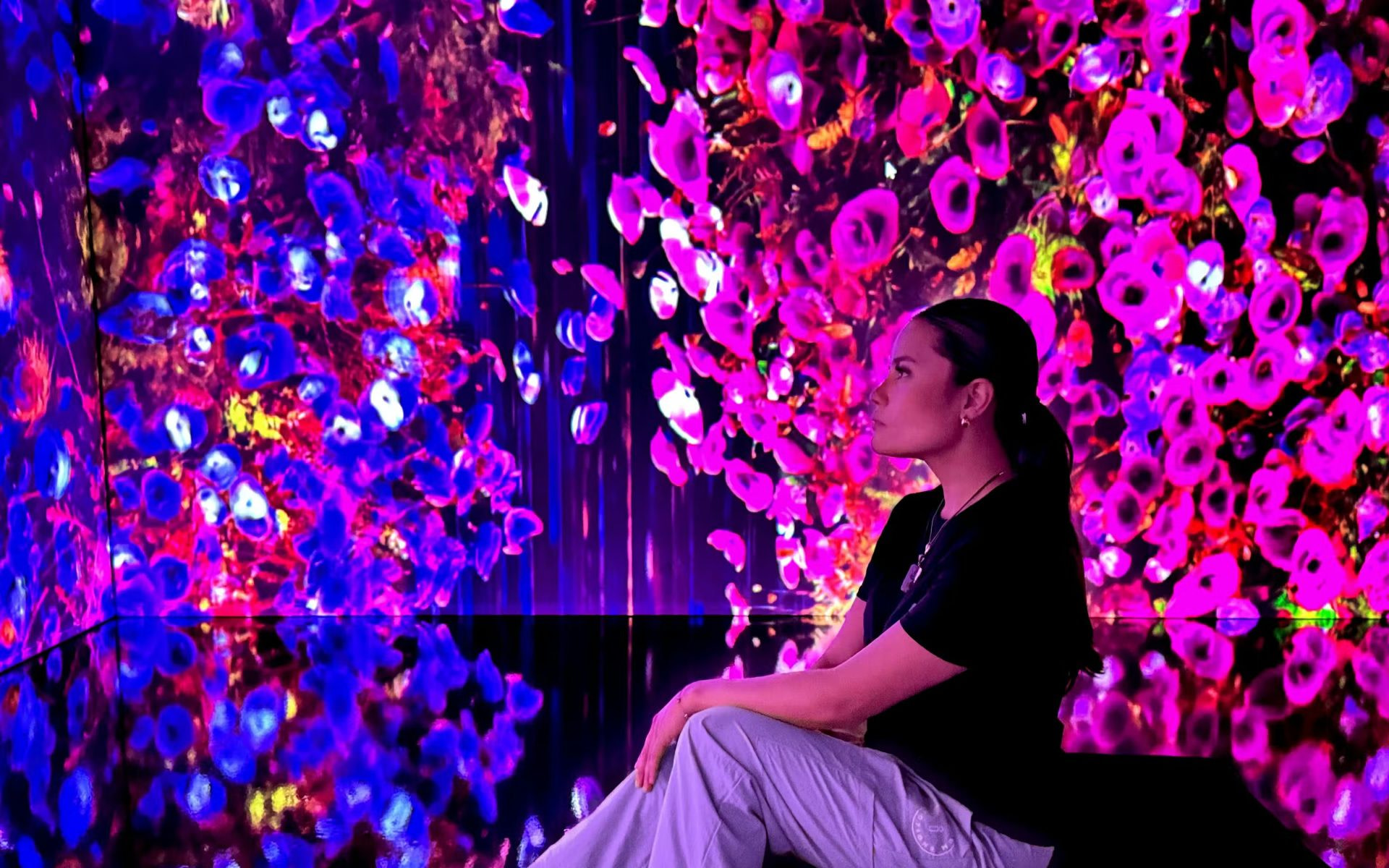 iMUSEUM Ticket in New Jersey