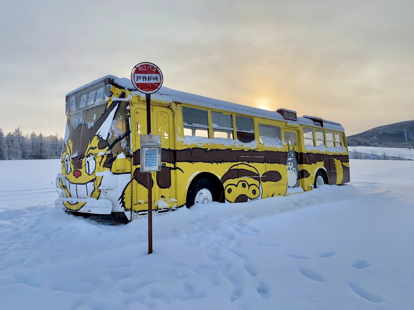 Hokkaido Winter Ningle Terrace & Catbus Tour