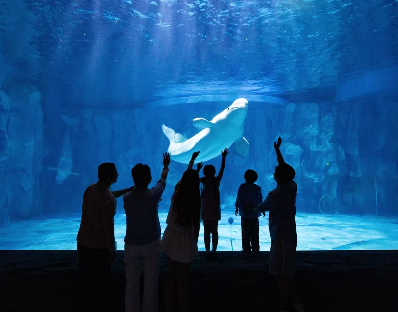 Xiaomeisha Ocean World