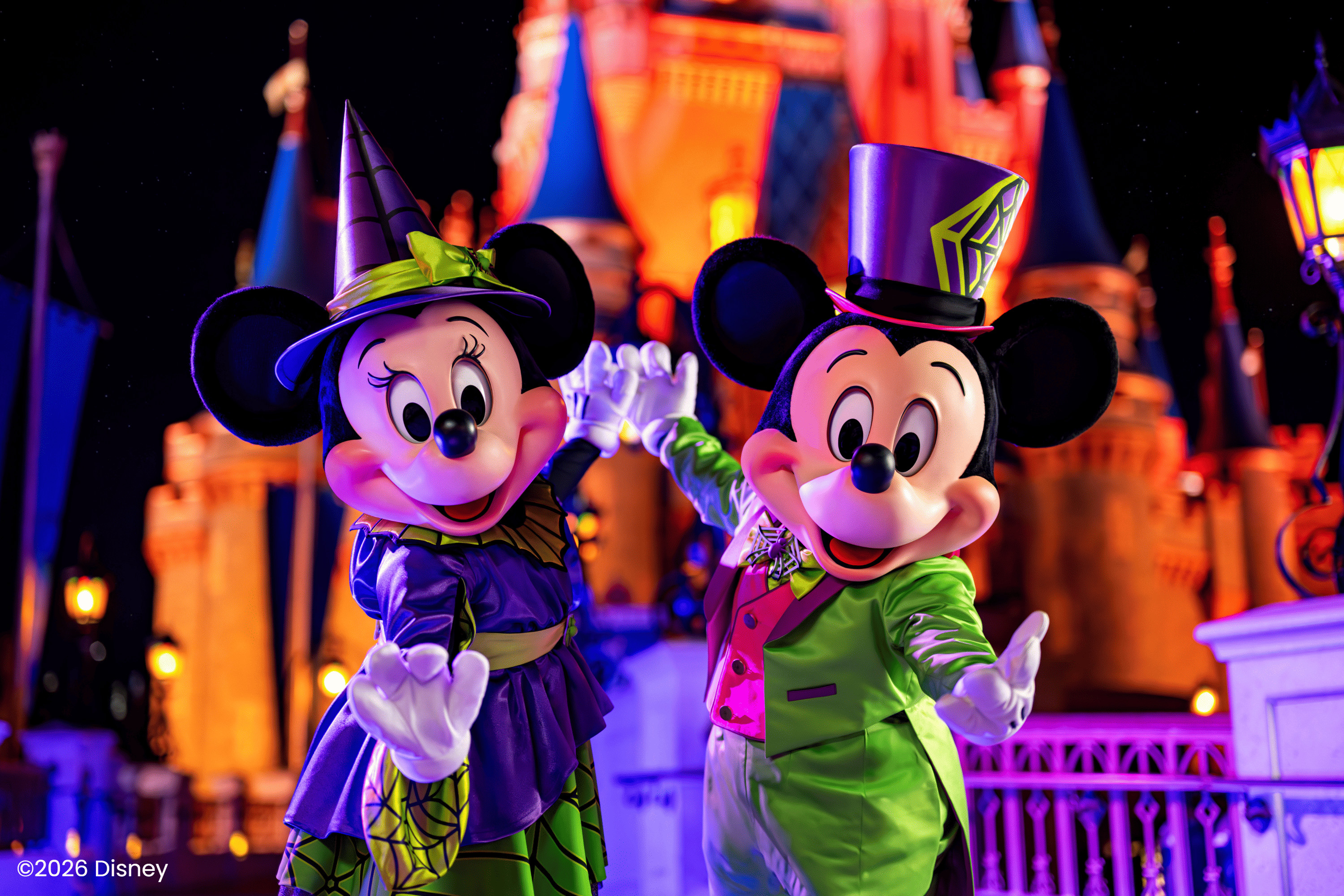 Walt Disney World Resort chiptasi