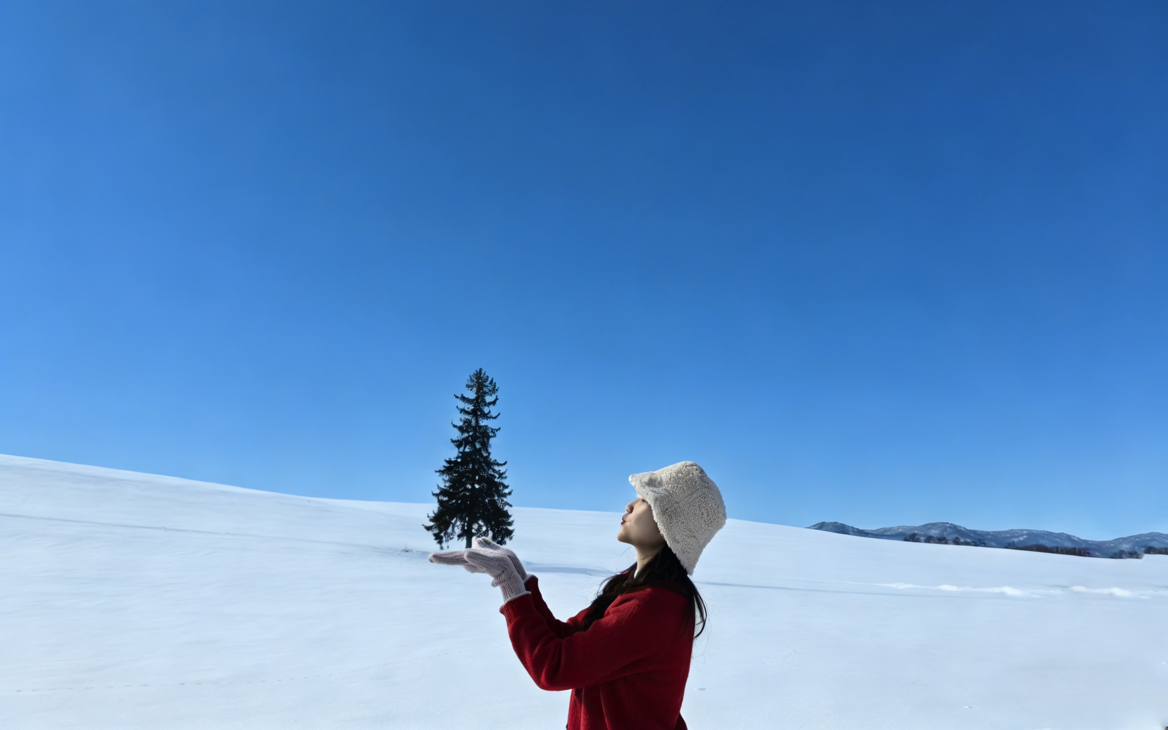 Asahikawa Zoo & Instagram-worthy Biei Tree & Shirahige Falls & Shirogane Blue Pond Day Tour (From Hokkaido)