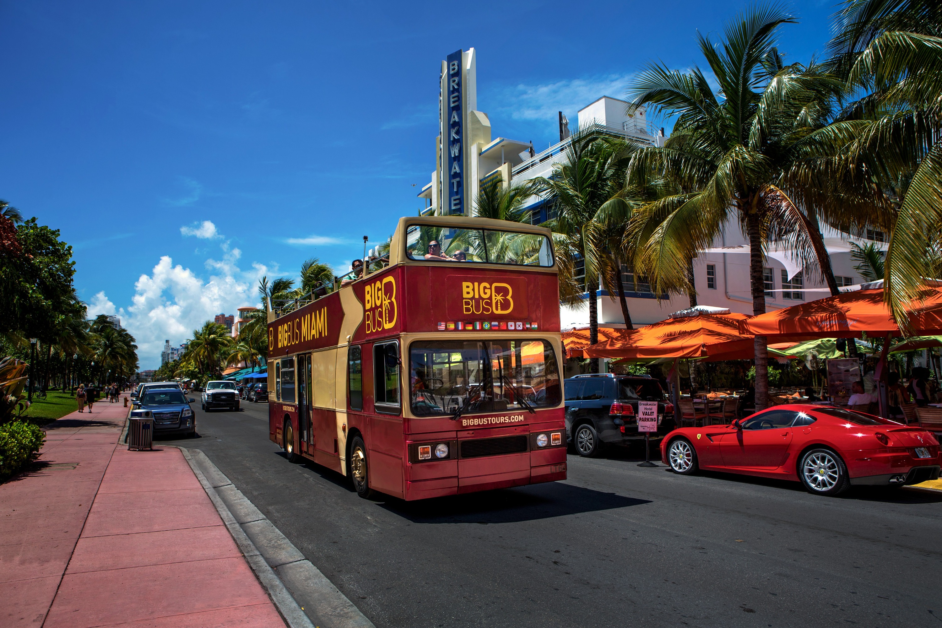 Miami Open-Top Night Bus Tour