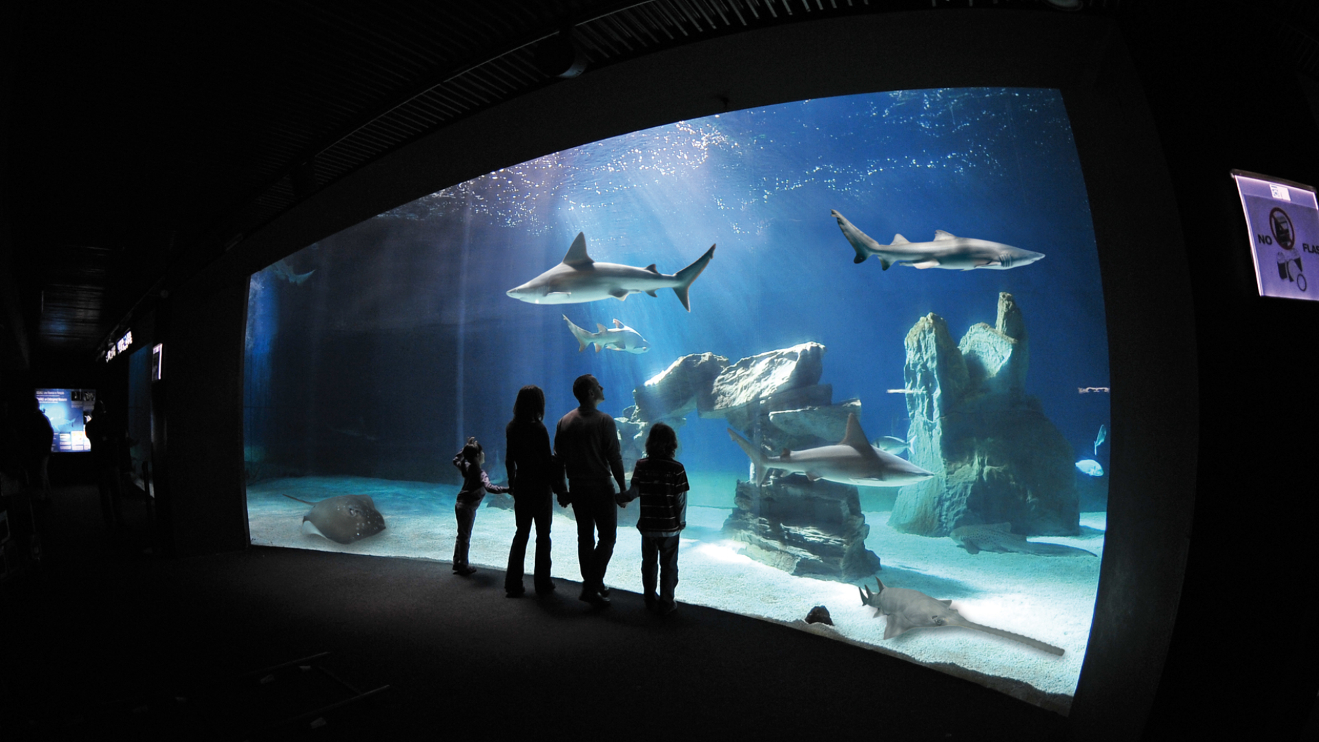 熱那亞水族館和兒童青少年博物館門票