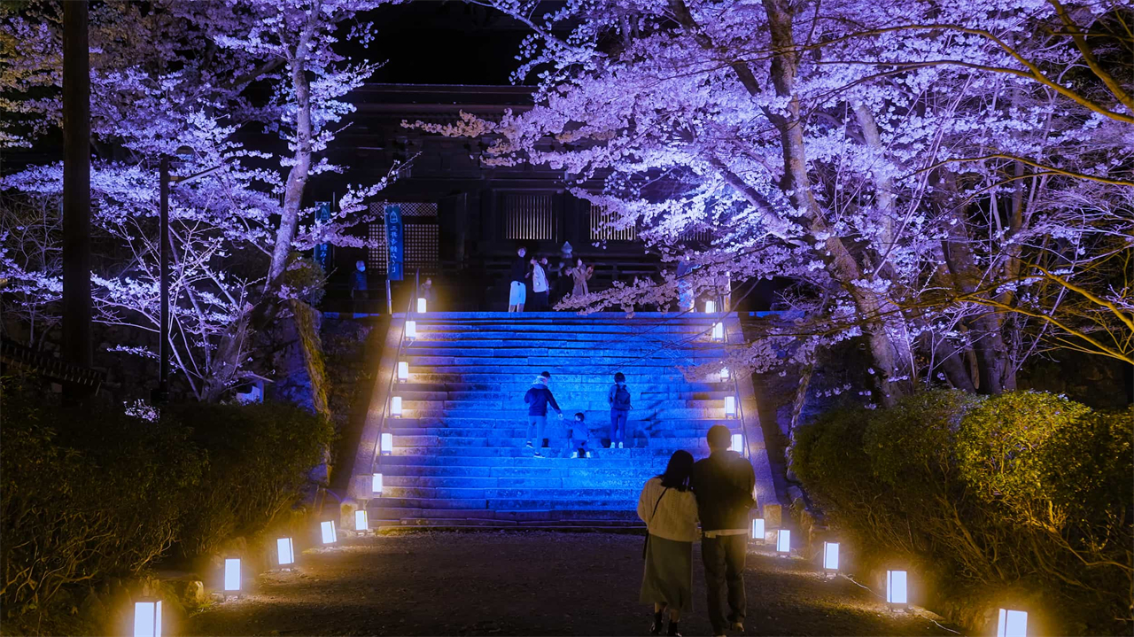 櫻花季限定-關西美秀美術館/近江八幡&三井寺&琵琶湖第一疏水賞夜櫻一日遊｜大阪/京都出發