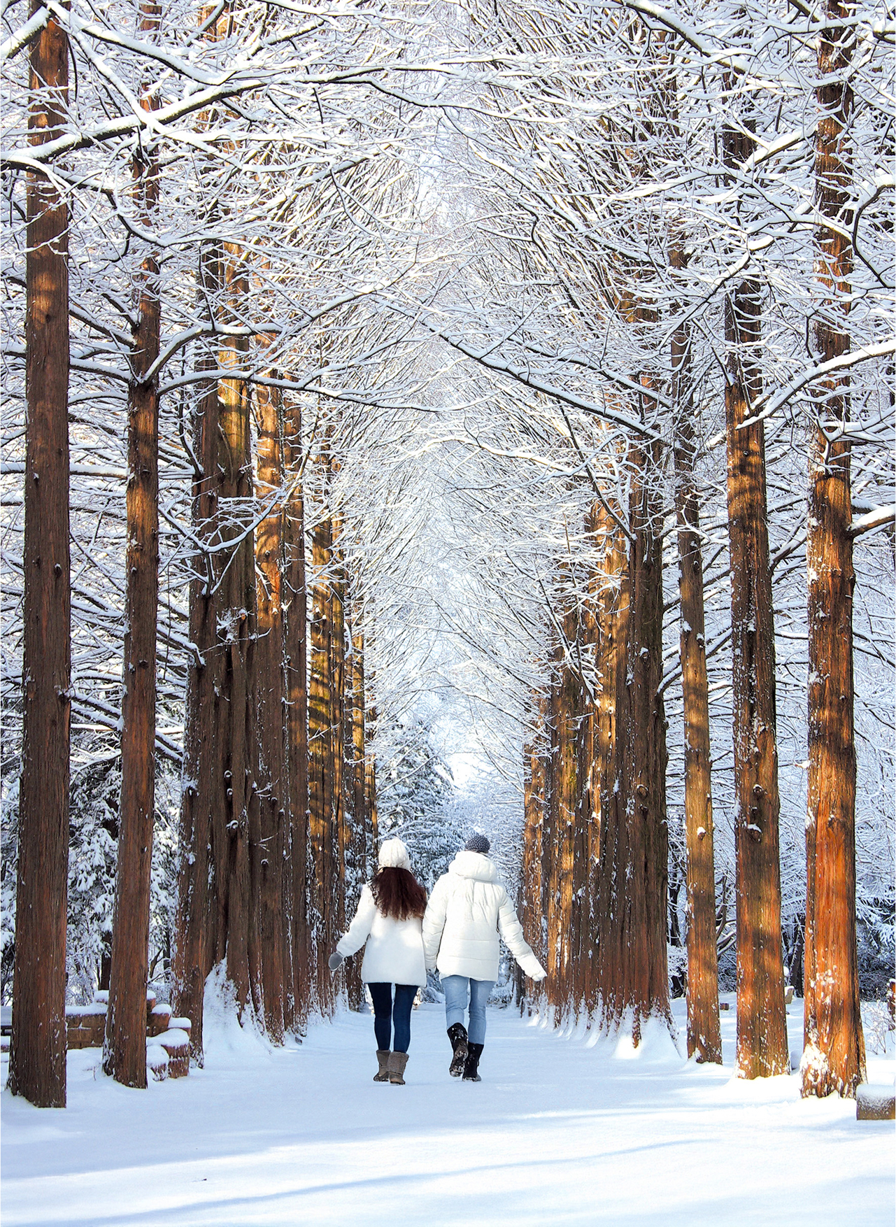 冬季的南怡島,就像走進一顆雪花球!❄️ 冬季的南怡島,就像走進一顆雪花球!❄️