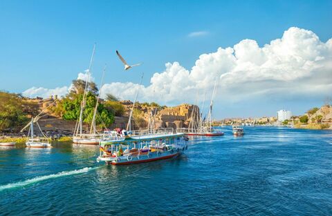 Best of Luxor Private Day Trip 