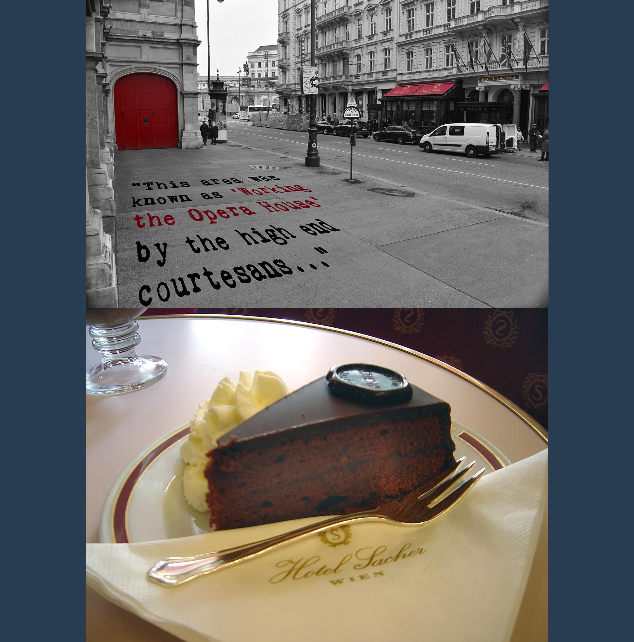 Vienna State Opera & Stephansdom 1-Hour Private Walking Tour