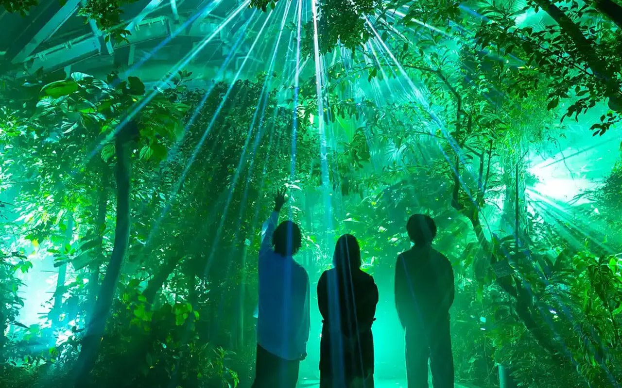 Kyoto Night Tour Limited | Fushimi Inari & Kinkaku-ji (Golden Pavilion) | LIGHT CYCLES KYOTO Light and Shadow Art | Yasaka Shrine Night Visit