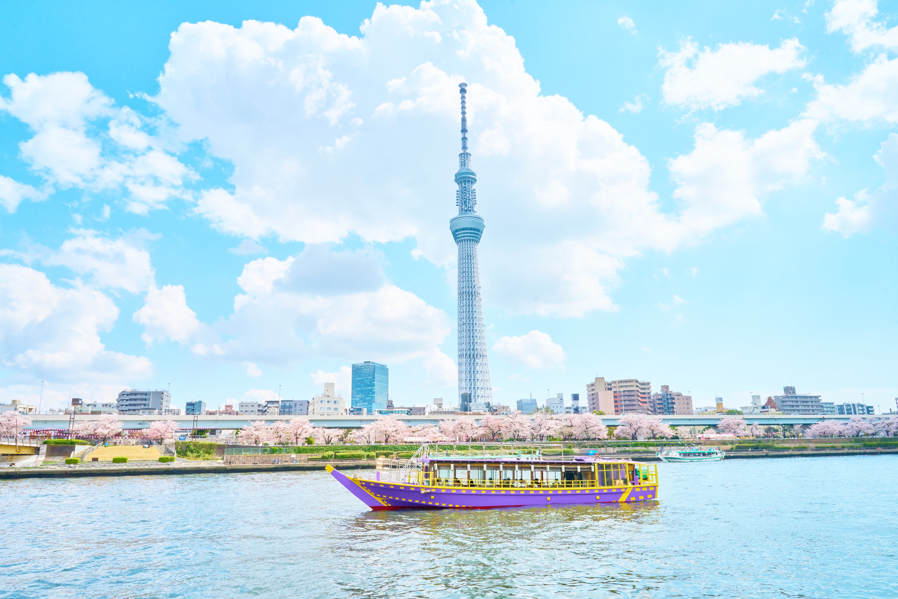 東京櫻花季網田屋形船午餐遊船方案