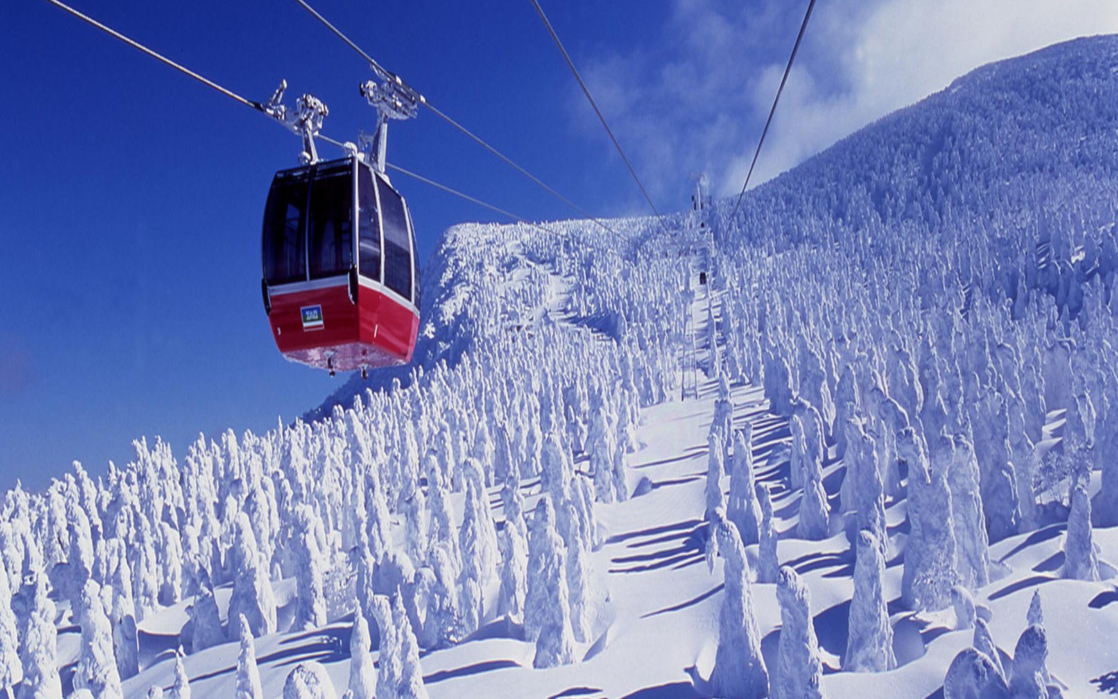 Sendai Departure - Ginzan Onsen & Zao Ice Monster Exquisite Small Group 1-Day Tour (Shared/Chartered Car)