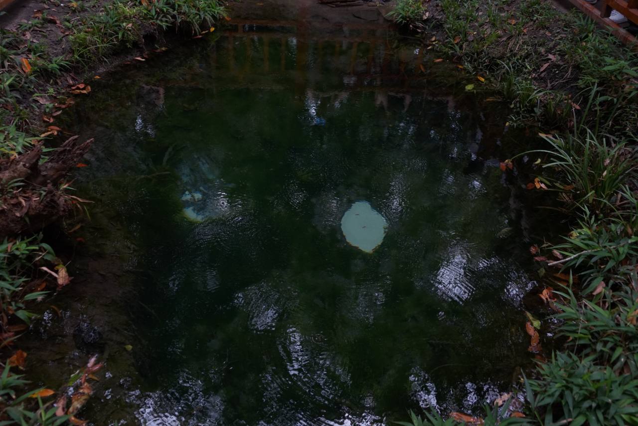 荔枝山瀑布一日遊