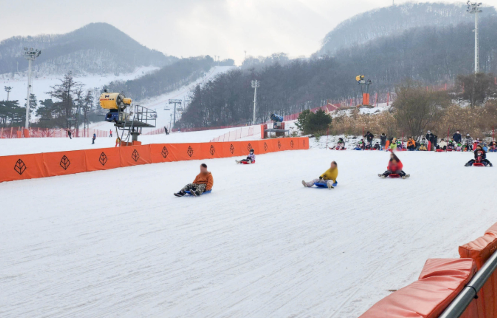 芝山森林度假村滑雪 & 雪橇一日遊