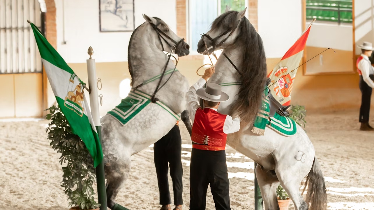 Andalusian horse and Flamenco show in Torremolinos