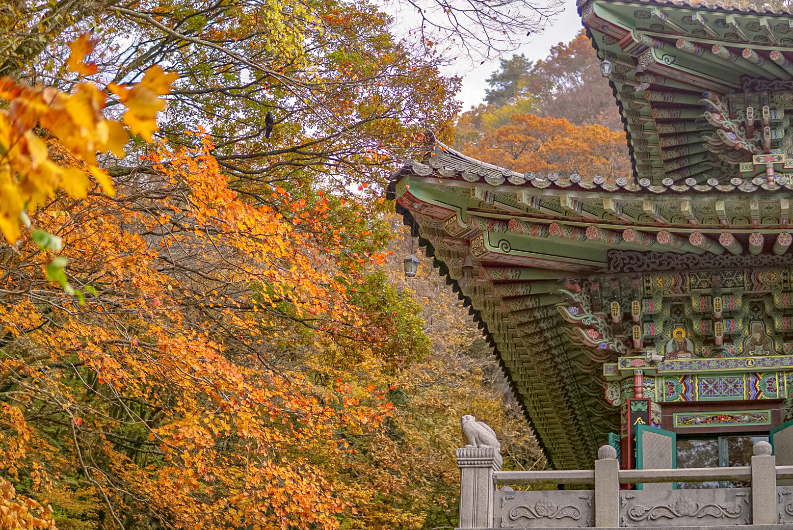 天王寺:探索被絢麗秋葉環繞的天王寺,感受其寧靜之美。 天王寺:探索被絢麗秋葉環繞的天王寺,感受其寧靜之美。
