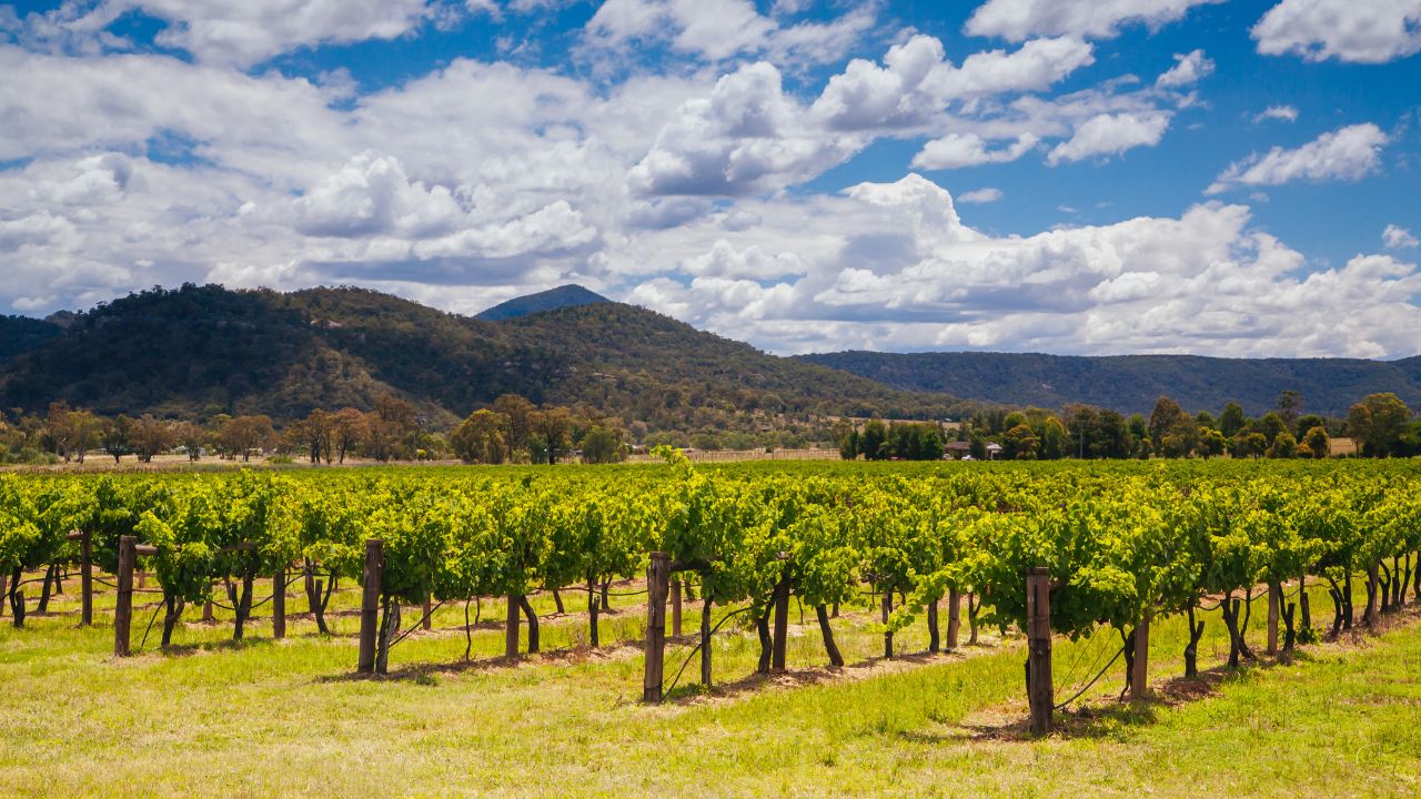 Private Hunter Valley Full Day Tour