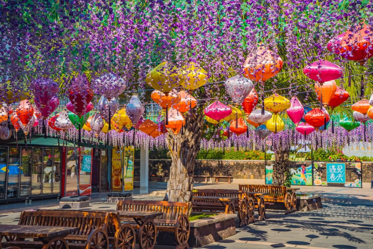 負氧離子高達 5500 個 /m³，空氣清新，植被濃密，現存高等植物 50 科 640 種以上，野生動物 32 種以上，是一部活的熱帶動植物百科全書