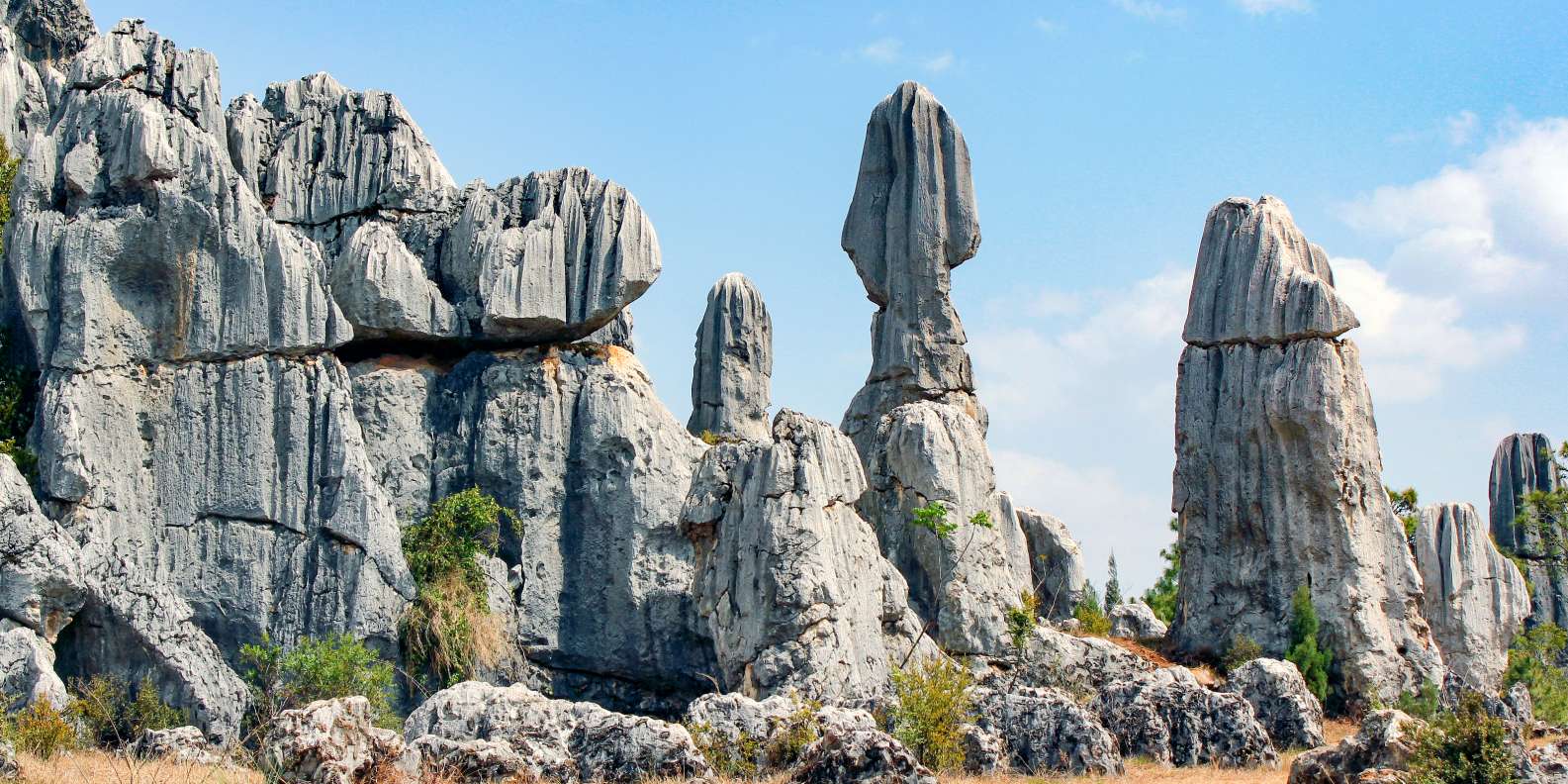 Kunming Private Day Tour to Stone Forest and Chengzi Ancient Town