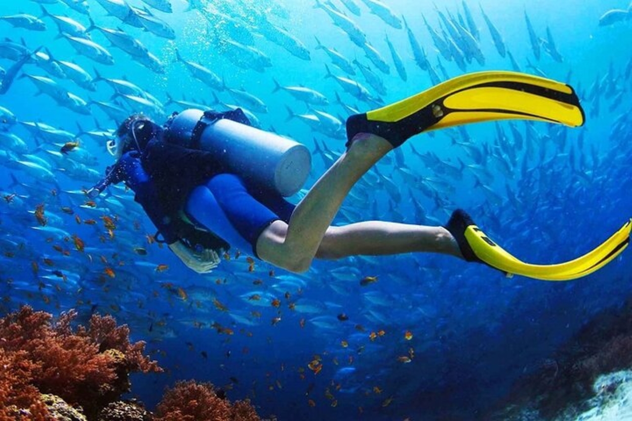 Open Water Padi Diving Course 3 Days - Marsa Alam