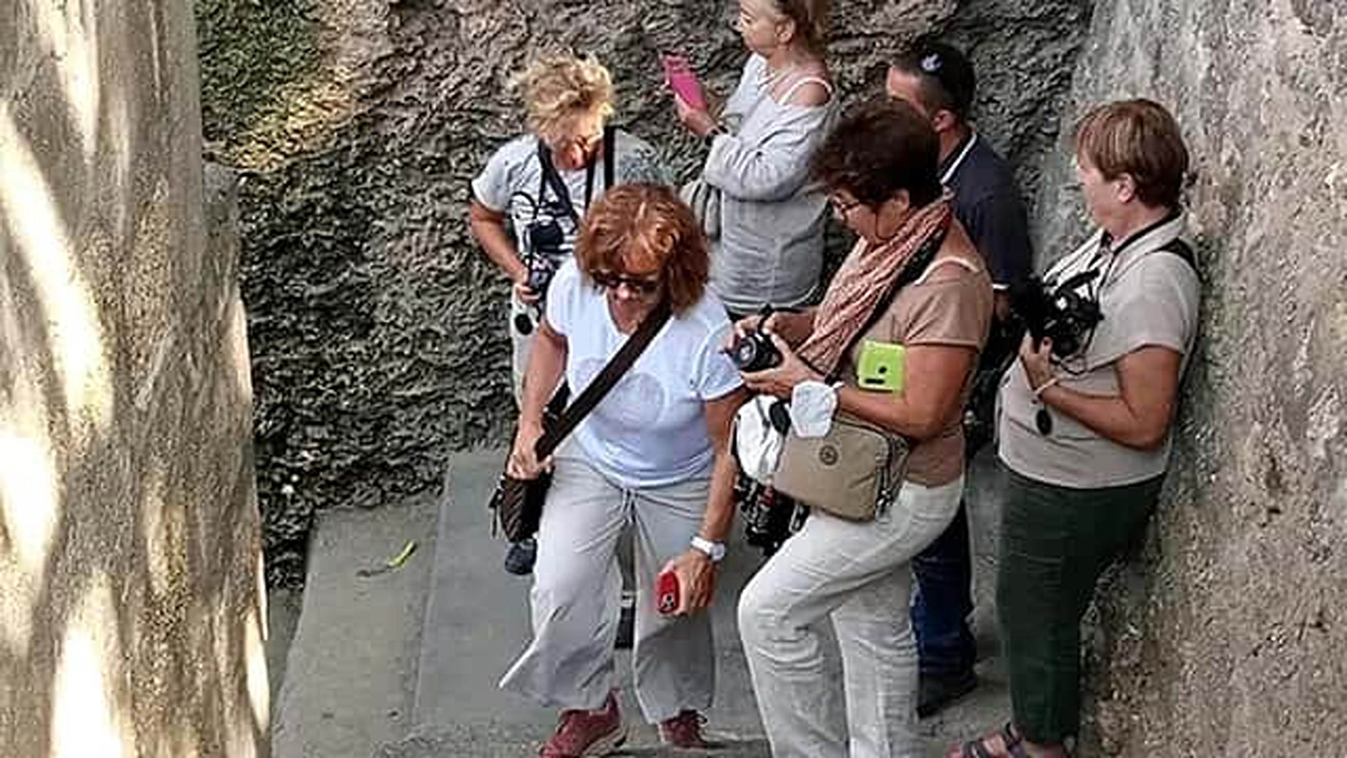 Mombasa: Discovery Day Tour and Haller Park Giraffes Experience.