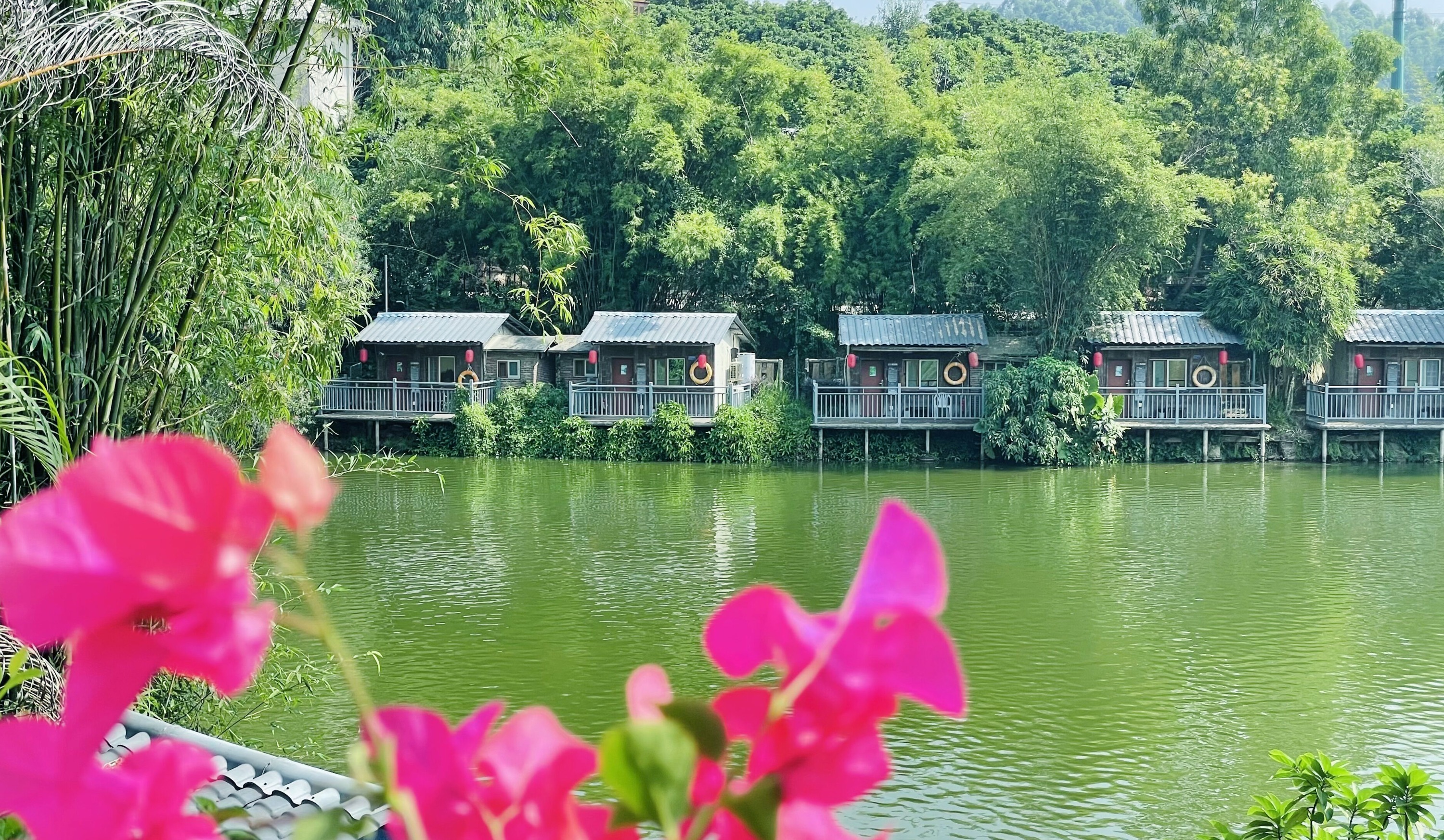 lake view