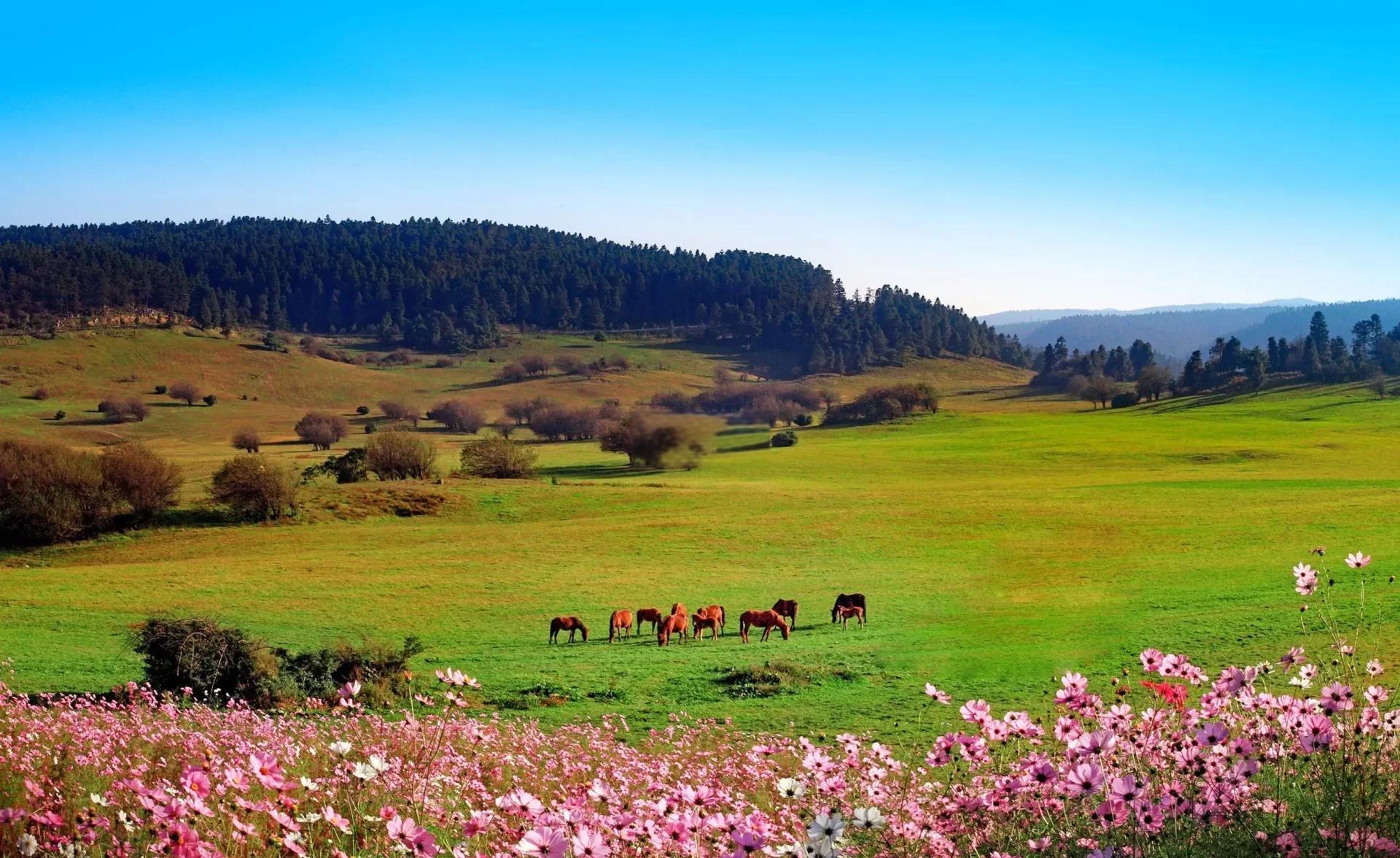 Chongqing Wulong+Longshuixia/Fairy Mountain 2+1Bus Tour（En Guide)）