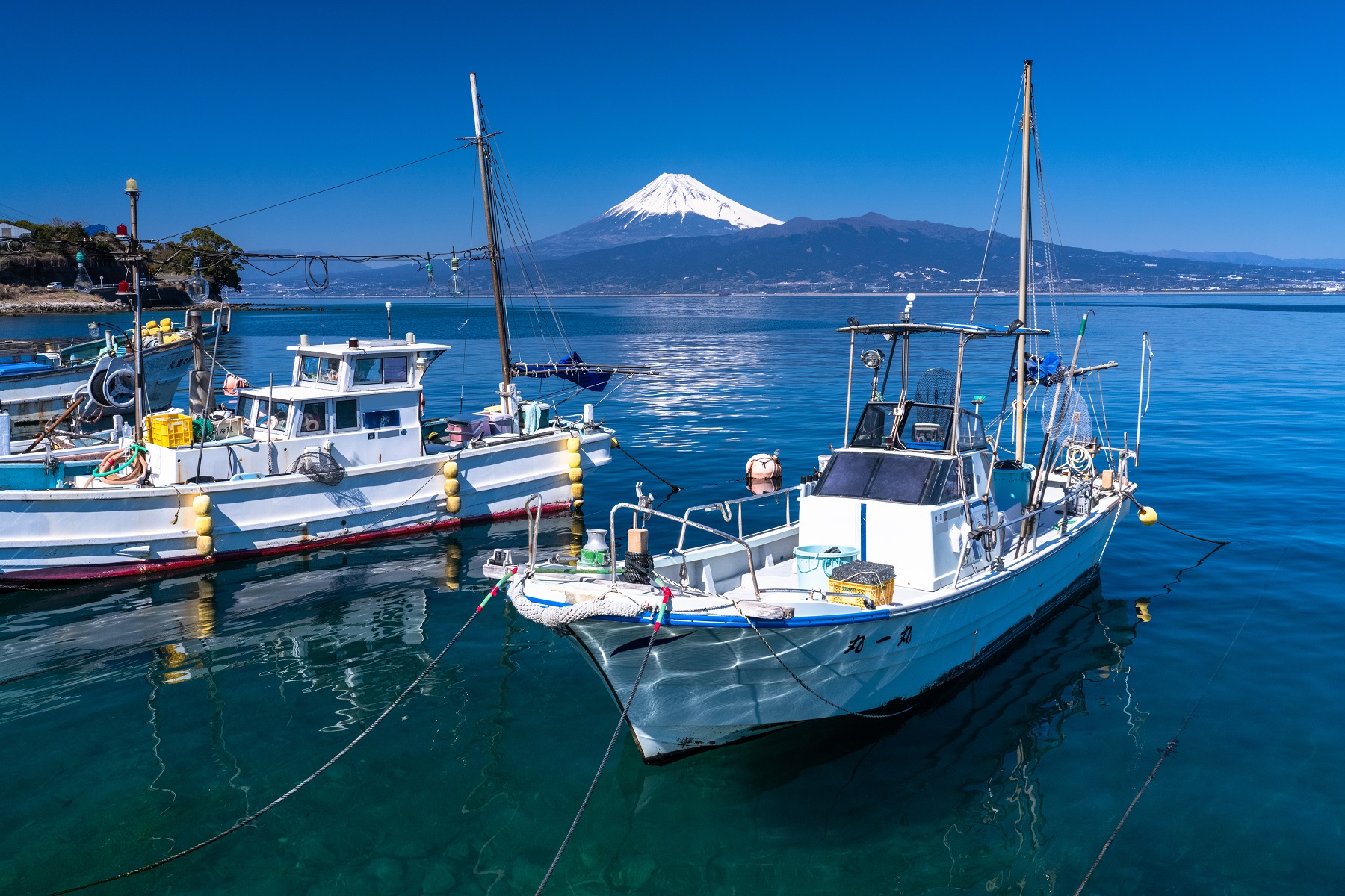 靜岡: 伊東溫泉海之煙火大會 & 大室山 & 忍野八海 & 花之都公園 & 巨峰葡萄採摘吃到飽2日遊