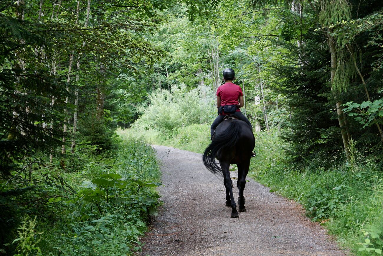 Pokhara: Horseback Adventure